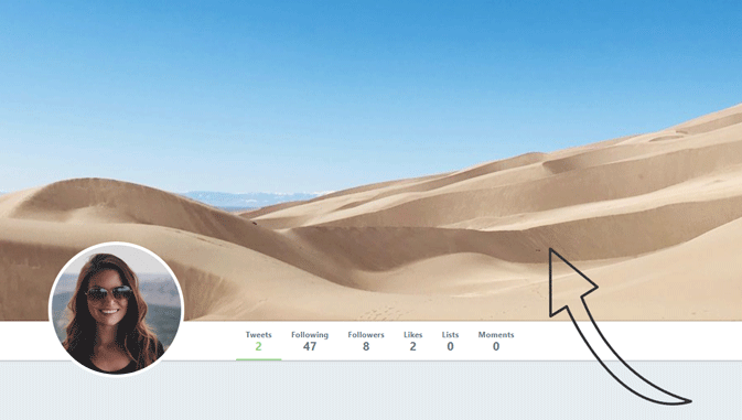 twitter profile picture size header