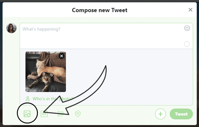 twitter profile picture size in-stream upload